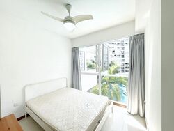 Forestville (D25), Condominium #504052091